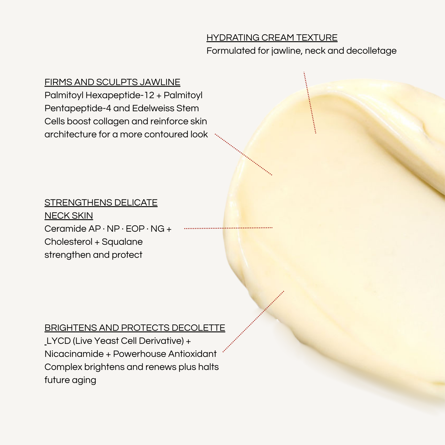 REBEL X Skincare hydrating neck and decolletage cream texture infographic with palmitoyl peptides, edelweiss stem cells, ceramides, and niacinamide for jawline firming and neck strengthening